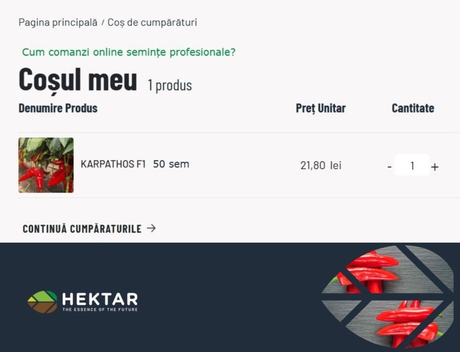 Cum plasezi o comandă online pe webshopul Hektar?