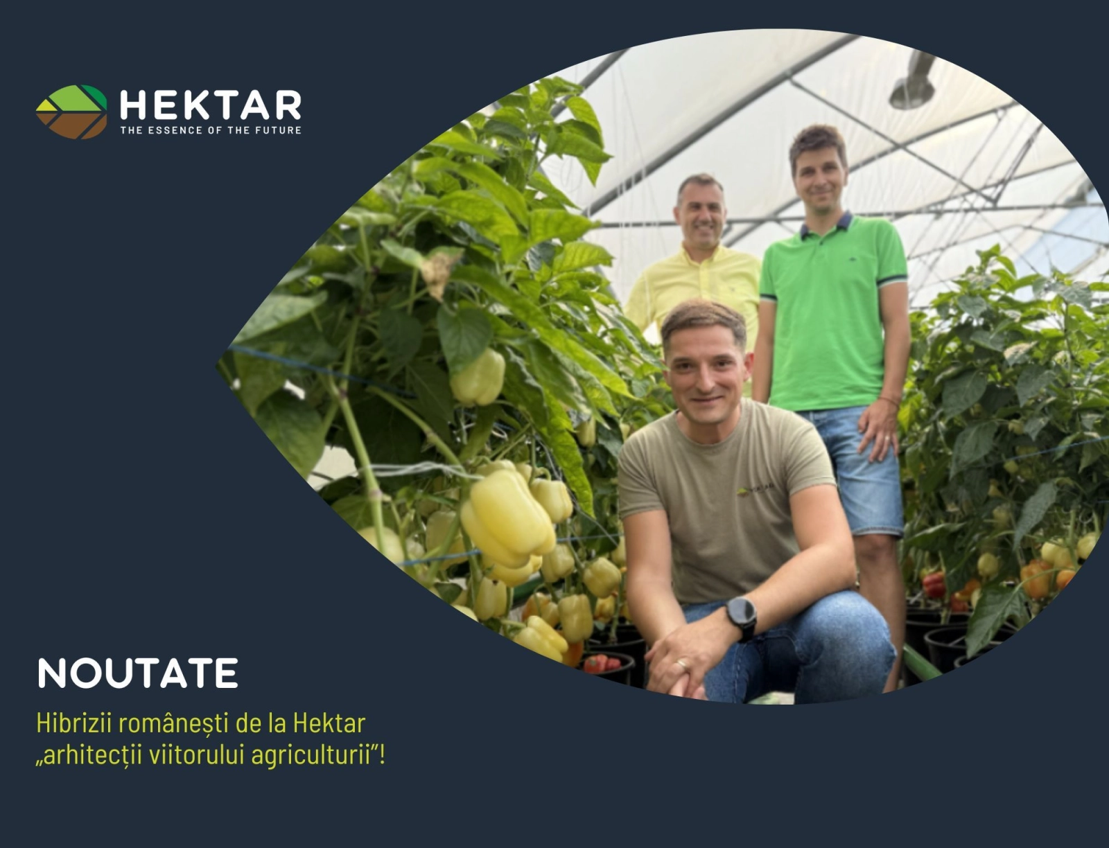 Hibrizii românești de la Hektar „arhitecții viitorului agriculturii”!