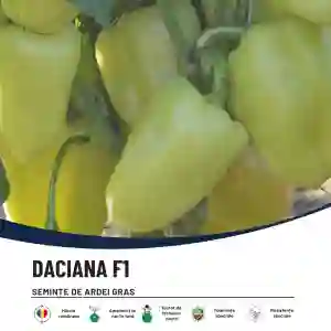 DACIANA F1