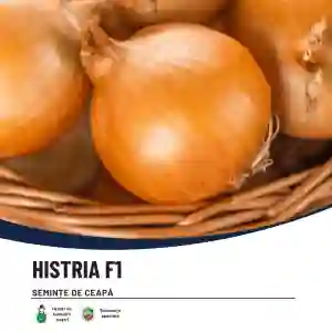 HISTRIA F1