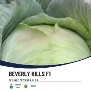 BEVERLY HILLS F1