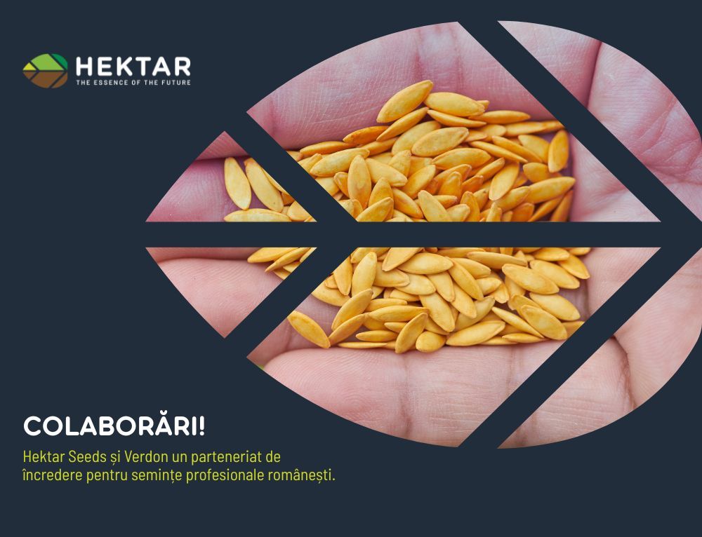 Hektar Seeds și Verdon un parteneriat de încredere pentru semințe profesionale românești!