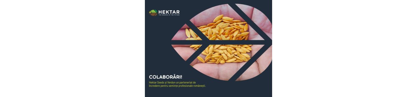 Hektar Seeds și Verdon un parteneriat de încredere pentru semințe profesionale românești!