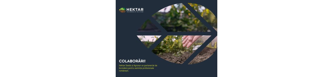 Hektar Seeds și Agronor, semințe profesionale românești la un click distanță!