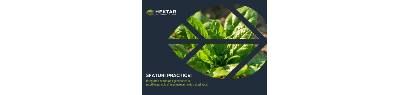 Integrarea culturilor leguminoase în rotațiile agricole și în amestecurile de culturi verzi!